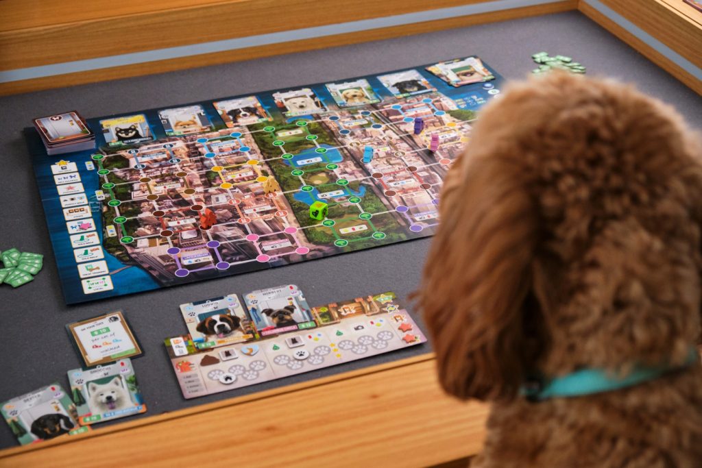 Bark Avenue
